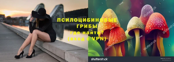 стафф Алзамай