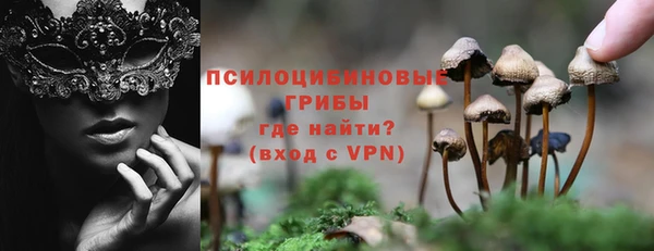 стафф Алзамай