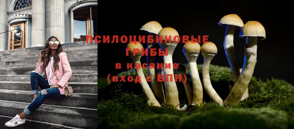 стафф Алзамай