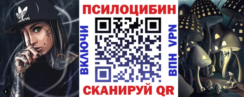 Псилоцибиновые грибы Psilocybe Купить закладки Дрезна